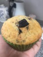 /album/fotos-de-muffins1/a2017-04-02-18-54-47-jpg1/